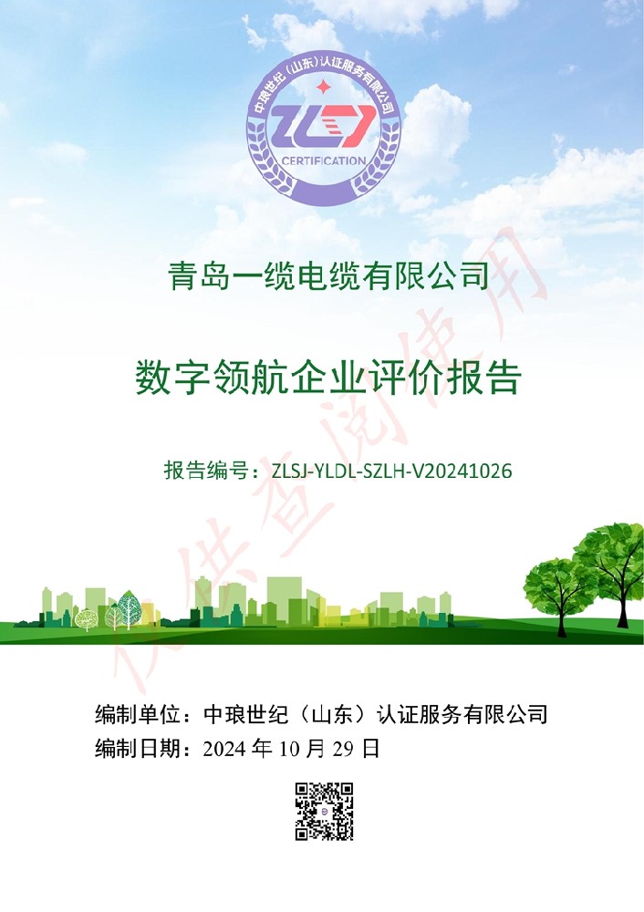 青島一纜電纜數(shù)字領(lǐng)航企業(yè)評價報告
